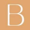 Beyond Booking logo